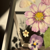 Just Bloom pressed flower frame