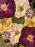 Close-up of preserved burgundy, blush and cream flowers arranged inside a Just Bloom pressed flower frame.