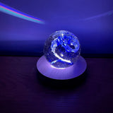 Illuminated Wooden Base Light