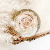 GLASH |Resin Globe containing sentimental flowers 