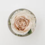 GLASH |Resin Globe containing sentimental flowers 