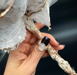 OVAL SILVER RING