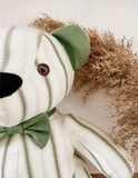 T-Bear Memory Teddy
