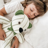 T-Bear Memory Teddy